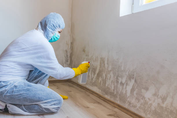 Licensed Mold Remediation service in Mountain Lakes, NJ - WQB Mold Removal