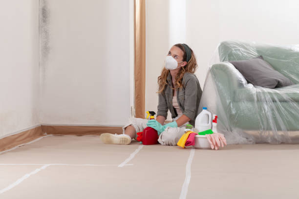Reliable Mold Remediation contractor in Mountain Lakes, NJ by WQB Mold Removal